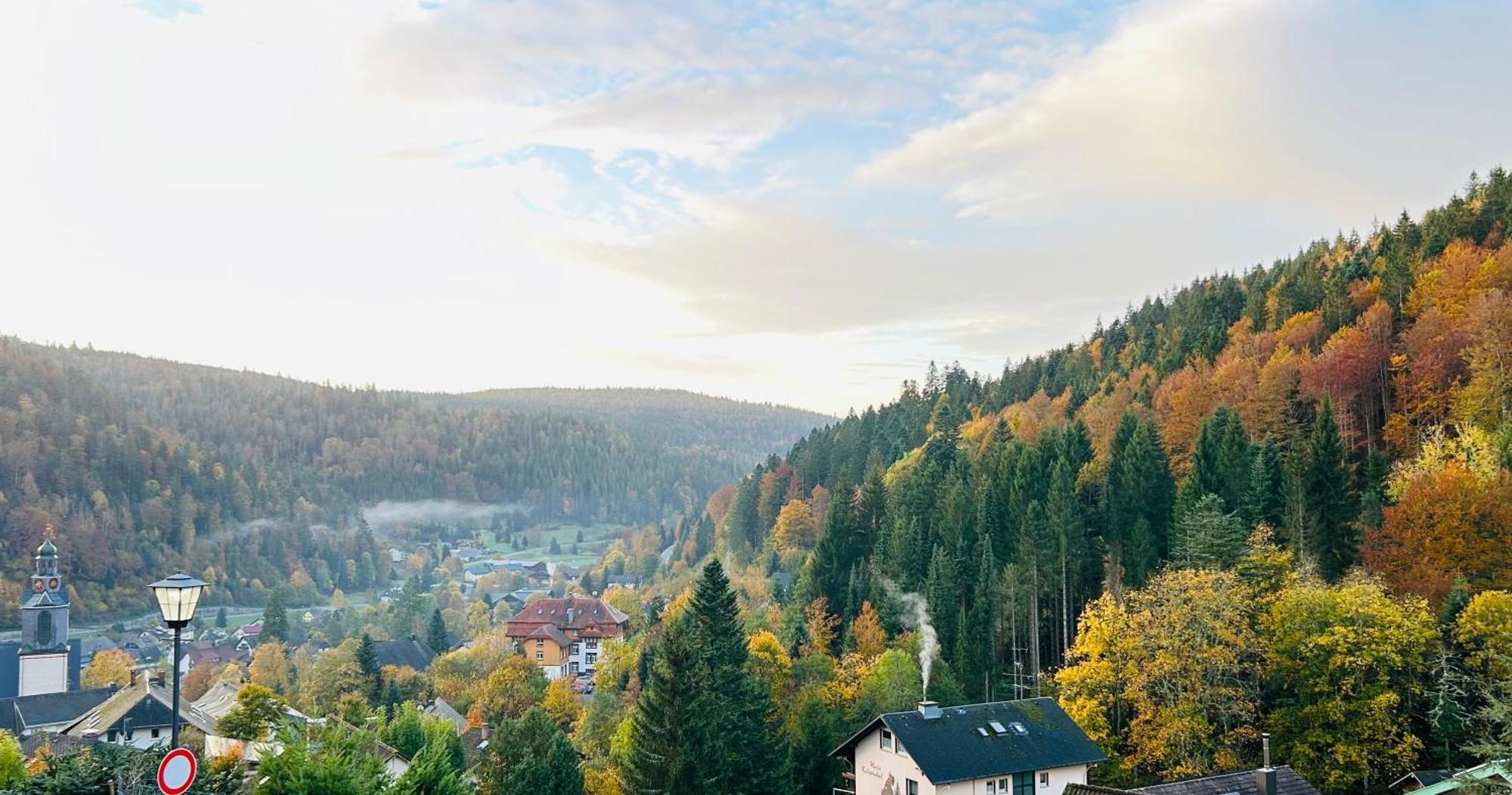Ferienwohnung Panoramablick - Super Fuer Deine Familie Und Die Besten Aussicht In Ganz ทอดท์โมส ภายนอก รูปภาพ