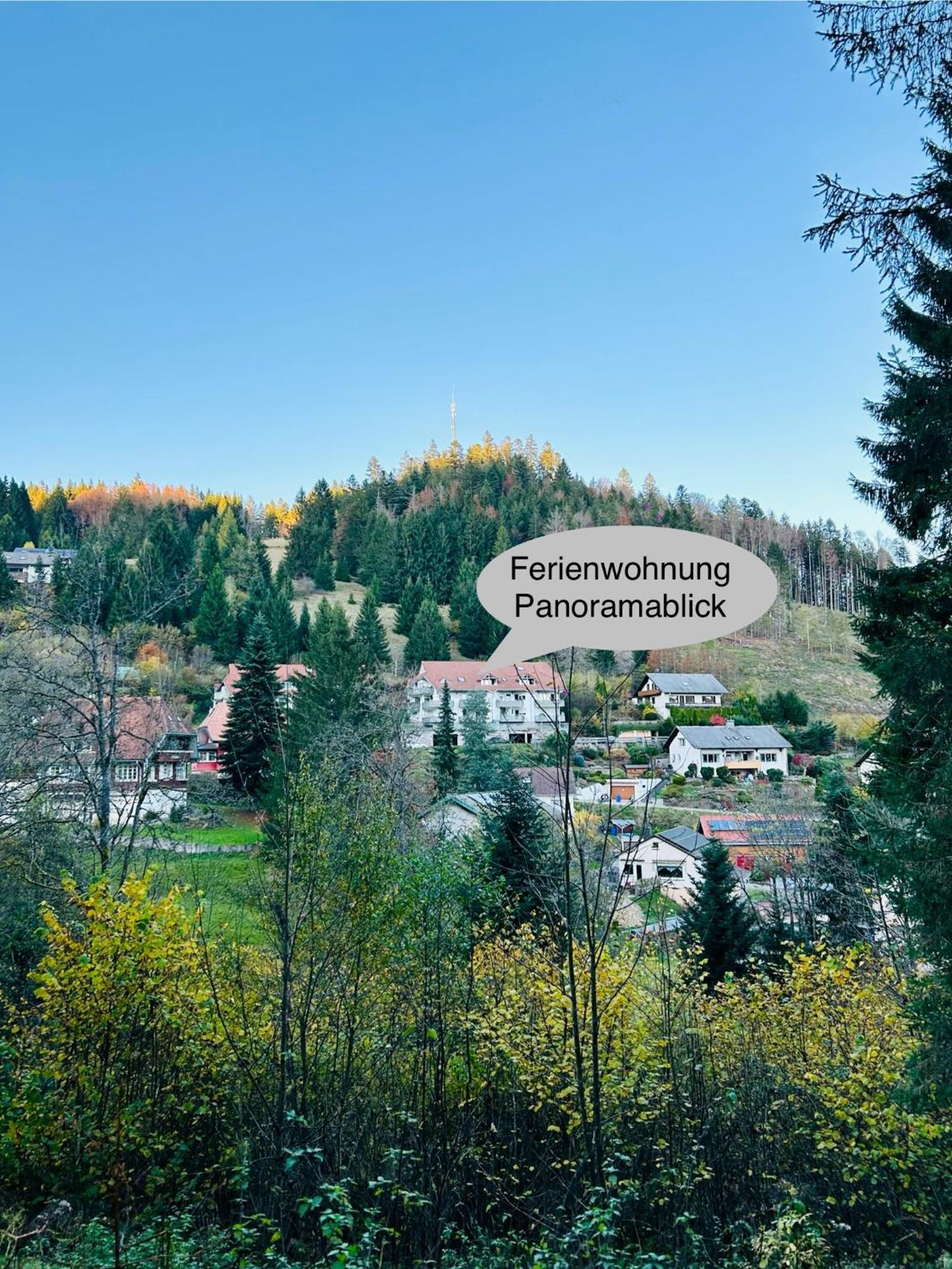 Ferienwohnung Panoramablick - Super Fuer Deine Familie Und Die Besten Aussicht In Ganz ทอดท์โมส ภายนอก รูปภาพ