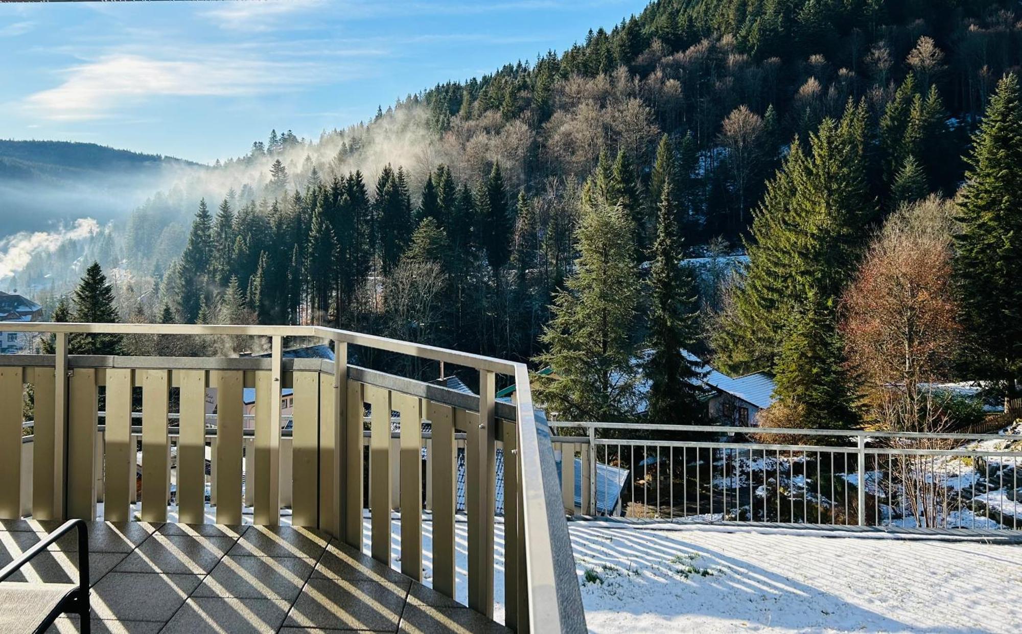 Ferienwohnung Panoramablick - Super Fuer Deine Familie Und Die Besten Aussicht In Ganz ทอดท์โมส ภายนอก รูปภาพ